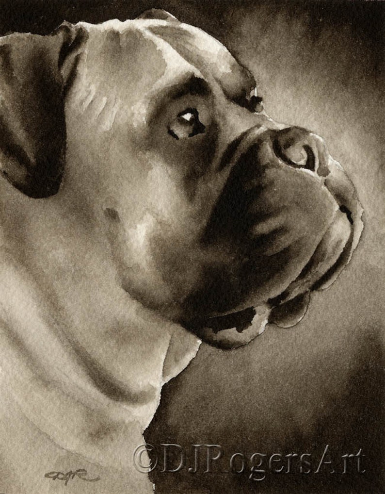 Boxer Art Print Sepia Watercolor by Artist DJR