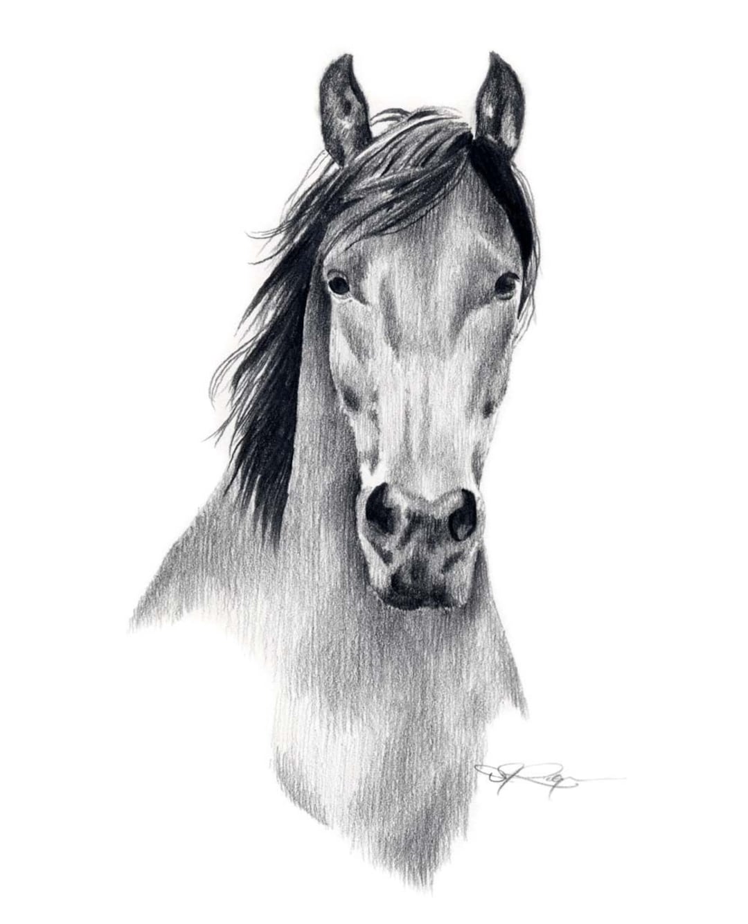 MUSTANG HORSE Pencil Drawing Art Print by Artist DJ Rogers - Etsy