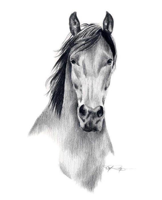 MUSTANG HORSE Pencil Drawing Art Print by Artist DJ Rogers Etsy