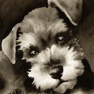 MINIATURE SCHNAUZER Puppy Sepia Art Print by Watercolor Artist DJ Rogers