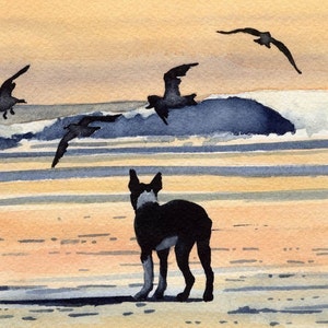 BOSTON TERRIER Art Print by Watercolor Artist DJ Rogers