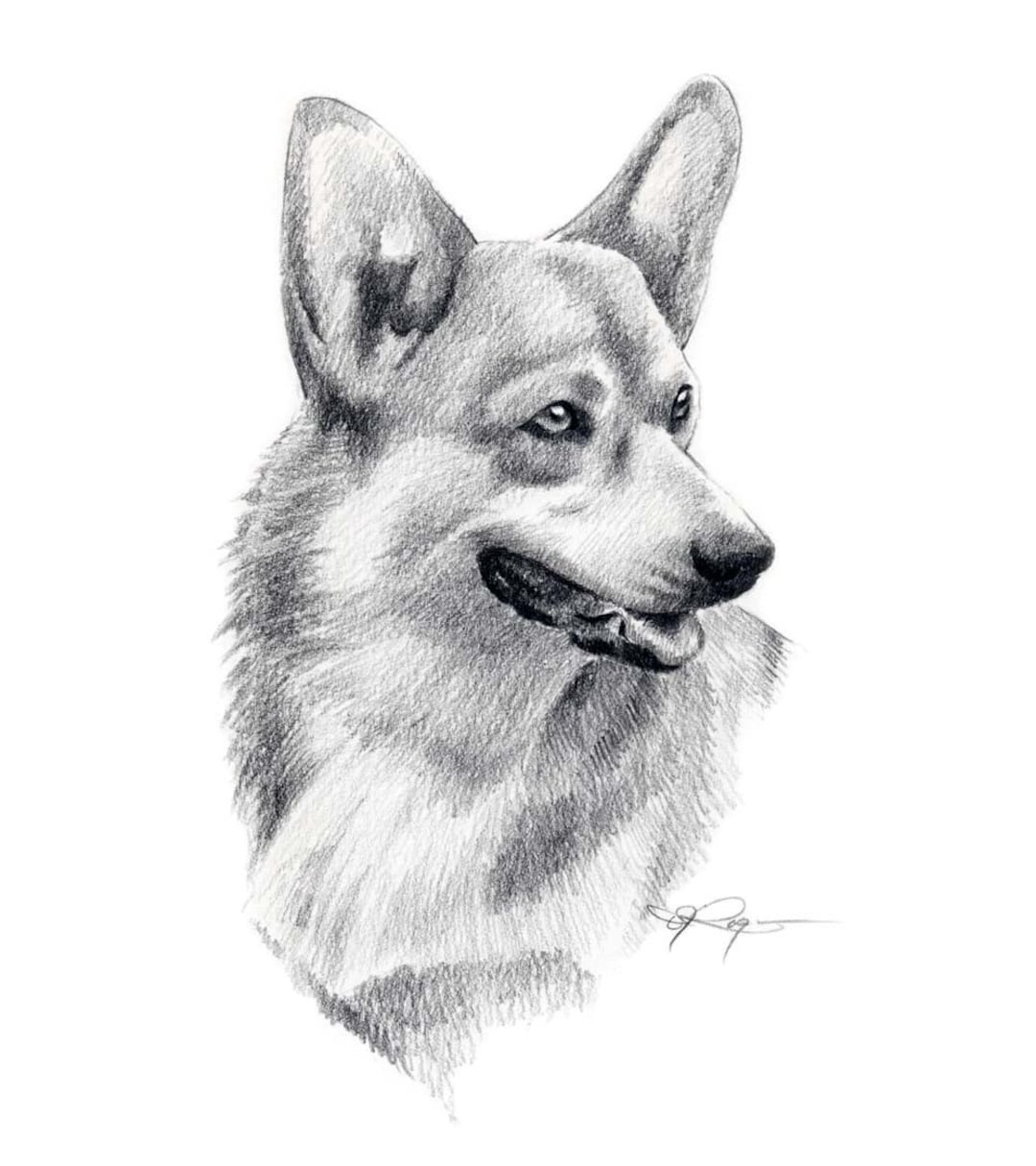 WELSH CORGI Dog Pencil Drawing Art Print by Artist DJ Rogers