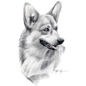 WELSH CORGI Dog Pencil Drawing Art Print by Artist DJ Rogers | Etsy
