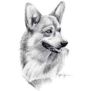 WELSH CORGI Dog Pencil Drawing Art Print by Artist DJ Rogers