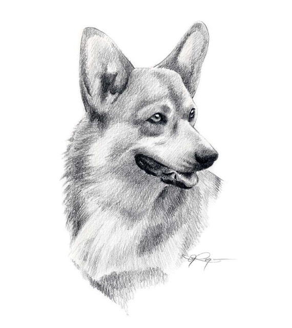 アーティスト DJ Rogers によるウェルシュ コーギー犬の鉛筆画 アーティスト DJ Rogers によるウェルシュ コーギー犬の鉛筆画