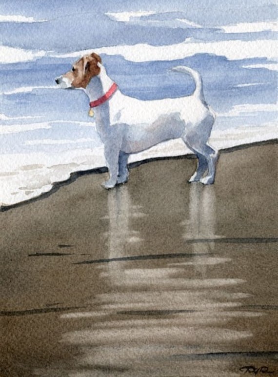 JACK RUSSELL TERRIER Art Print Watercolor by D J Rogers Etsy UK