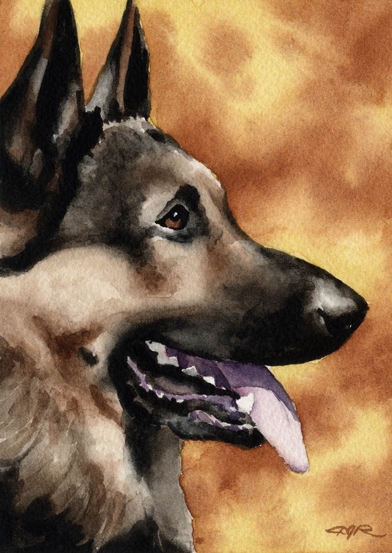 BLACK GERMAN SHEPHERD Painting 8 x 10 Art Print by Artist DJR