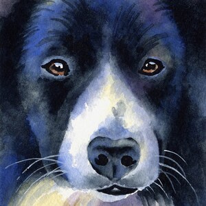 BORDER COLLIE Art Print by Watercolor Artist DJ Rogers