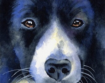 BORDER COLLIE Art Print by Watercolor Artist DJ Rogers