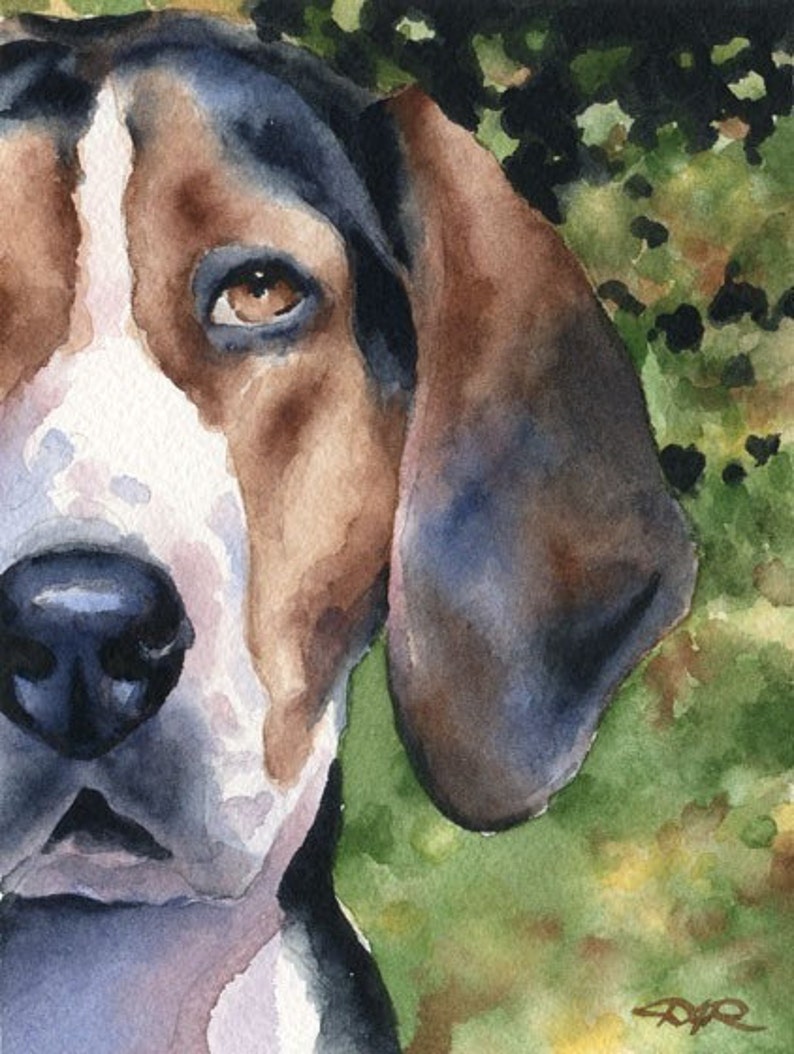 TREEING WALKER COONHOUND Art Print Watercolor by Artist D J Rogers image 1