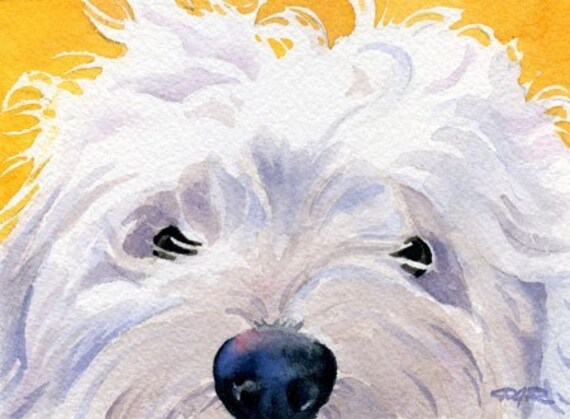 Cockapoo Art Print Sepia Watercolor 11 x 14 by Artist DJR