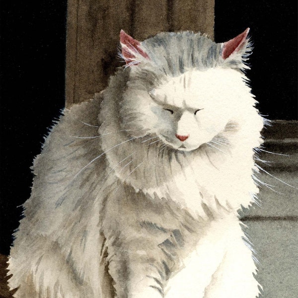 White Cat Art Print "CAT NAP" by Artist DJ Rogers