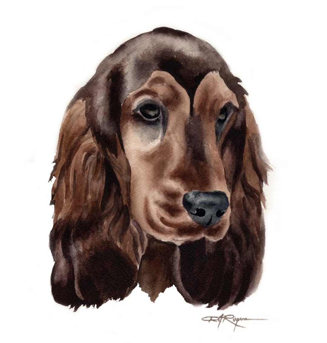 English Cocker Spaniel Art Print by Watercolor Artist DJ Rogers - Etsy