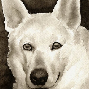 White German Shepherd Sepia Art Print by Watercolor Artist DJ Rogers