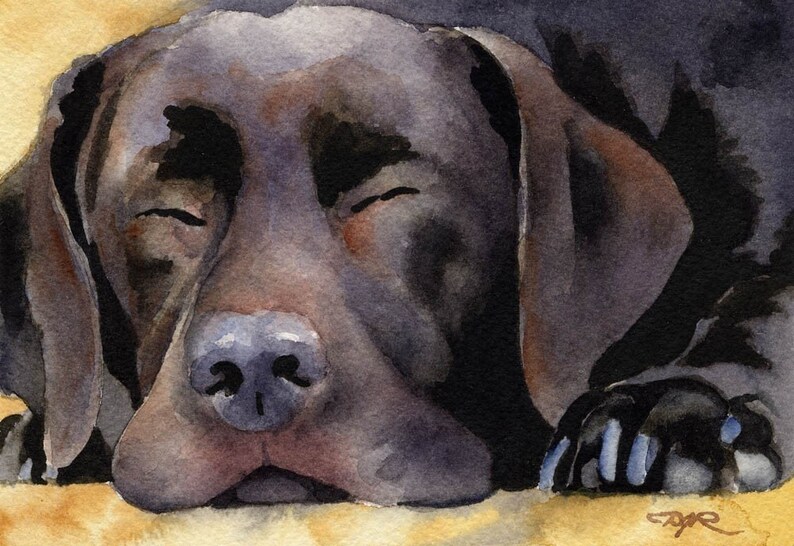 Labrador Retriever CHOCOLATE LAB Dog Art Print by Artist DJ Rogers image 1