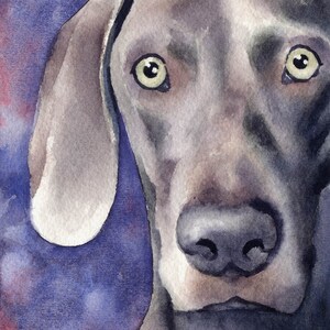 WEIMARANER Art Print by Artist DJ Rogers