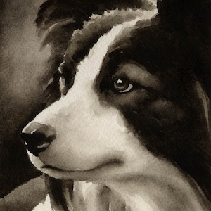 BORDER COLLIE Sepia Art Print by Watercolor Artist DJ Rogers