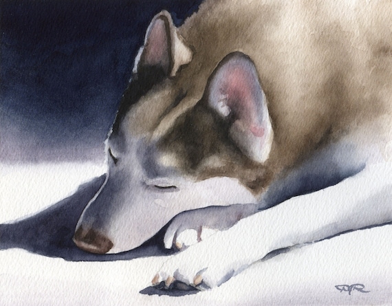 Siberian Husky Art Print Sepia Watercolor Painting by Artist DJR
