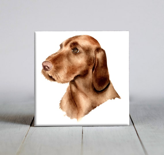 Gifts for vizsla lovers 2025