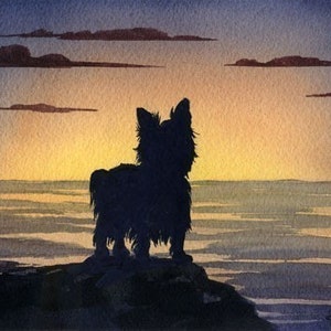 YORKSHIRE TERRIER Kunstdruck "Yorkshire Terrier Sonnenuntergang" von Künstler D J Rogers