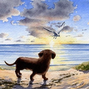 Dachshund Art Print "DACHSHUND At The Beach" Watercolor by Artist D J Rogers