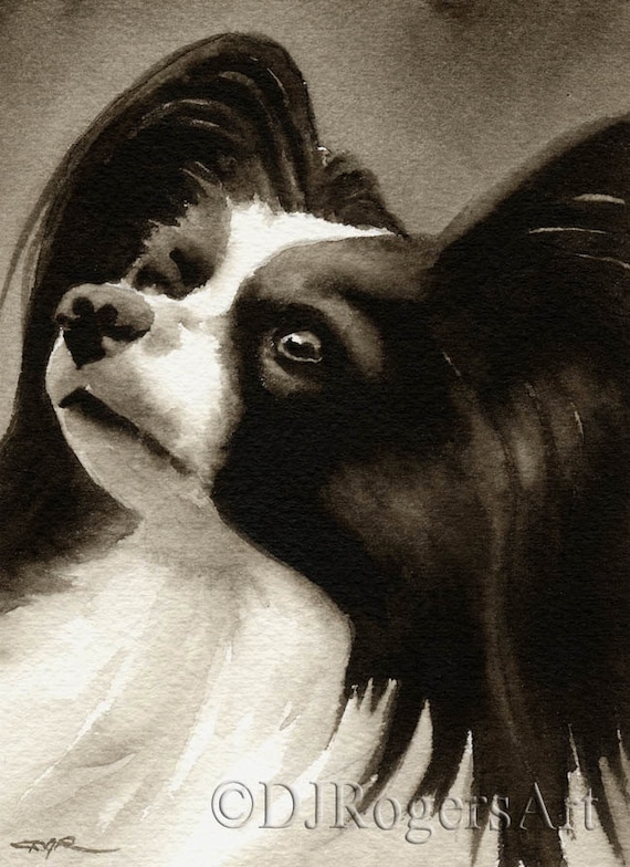Japanese Chin Art Print Sepia Watercolor Painting by Artist DJR