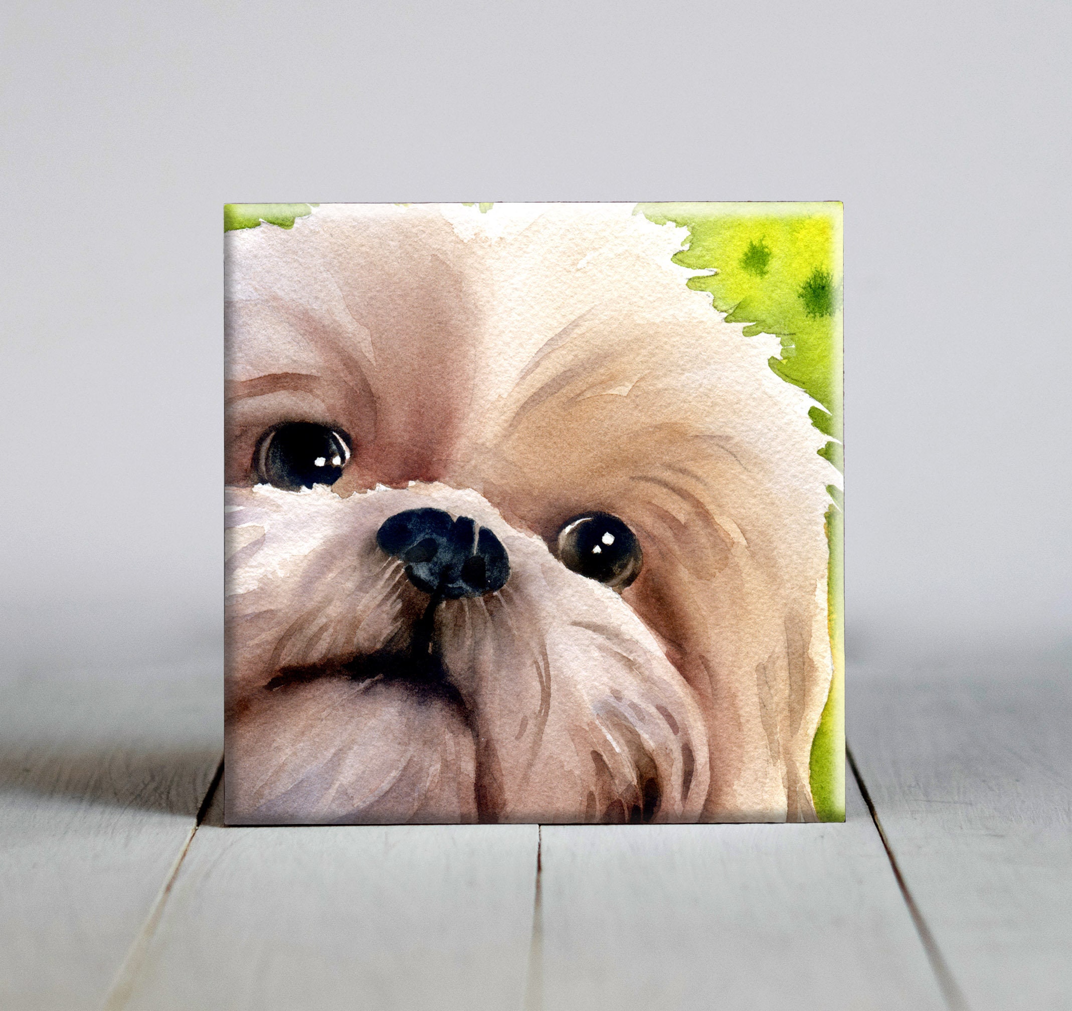 gift ideas for shih tzu lovers