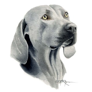 Weimaraner Art Print Dog Painting by Watercolor Artist DJ Rogers