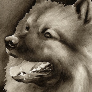 KEESHOND Sepia Art Print by Watercolor Artist DJ Rogers