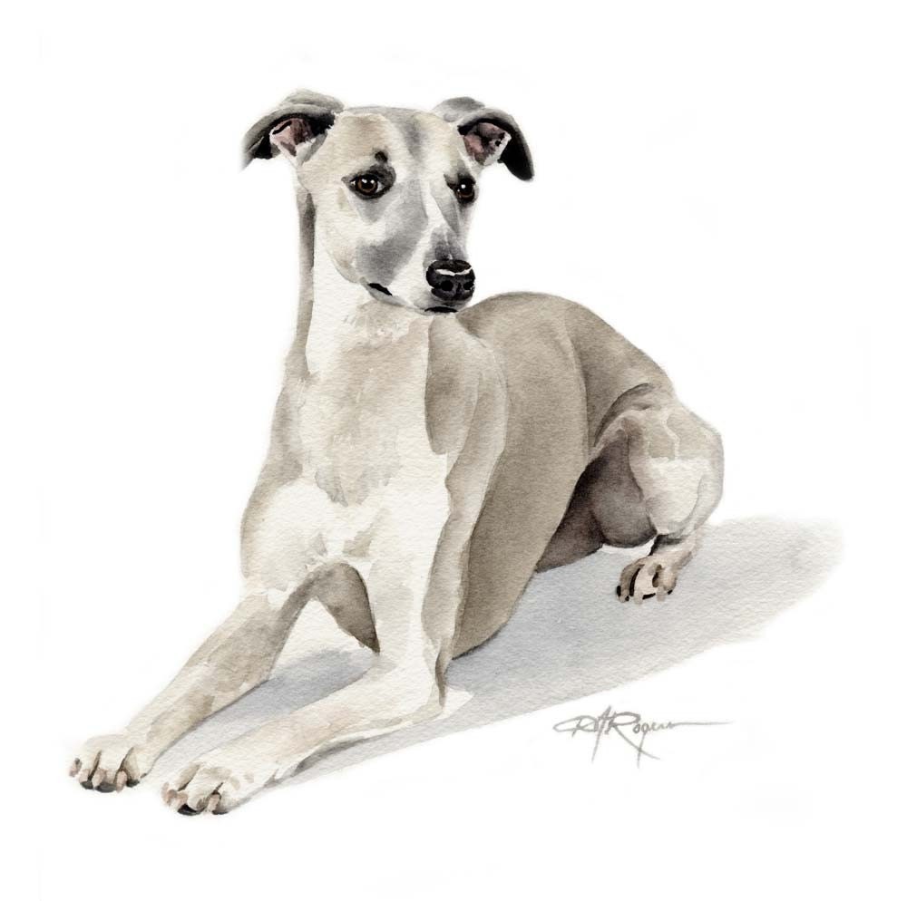 Рисунки собак акварелью (45 фото)