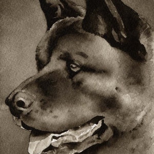 AKITA Dog Sepia Watercolor Painting Art Print by Artist DJ Rogers