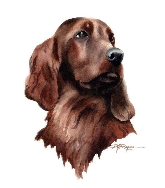 IRISH SETTER RED WHITE DOG Drawing 8 x 10 ART Print by Artist DJR
