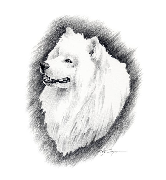 Shar Pei Art Print Sepia Watercolor 11 x 14 by Artist DJR