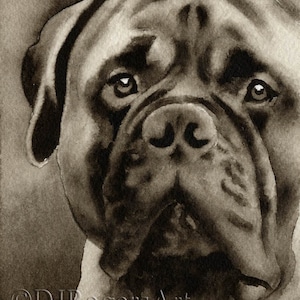 BULLMASTIFF Sepia Art Print by Watercolor Artist DJ Rogers