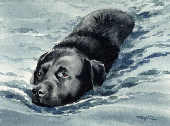 Black Lab Art Print By Watercolor Artist Dj Rogers | Etsy