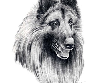 BELGIAN TERVUREN Art Print par l’artiste DJ Rogers