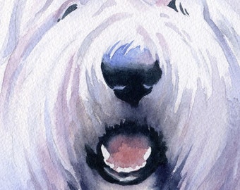 OLD ENGLISH SHEEPDOG Art Print Signed by Artist D J Rogers