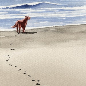 IRISH SETTER Art Print by Artist DJ Rogers
