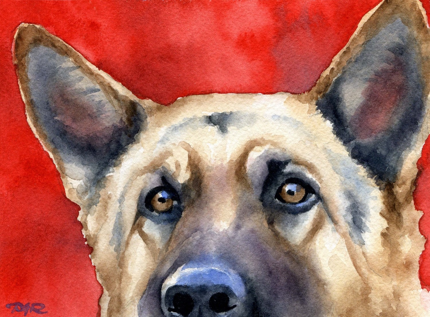 White German Shepherd Art Print Sepia Watercolor 11 x 14 by Artist DJR