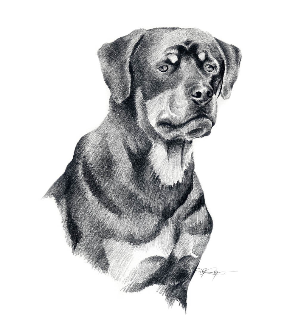dog pencil drawing outline