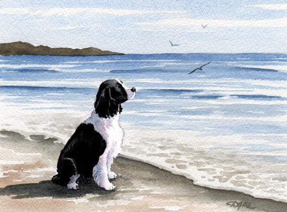 SPRINGER SPANIEL Art Print Black Springer Spaniel At The Beach Aquarelle  par lartiste DJ Rogers - Etsy France