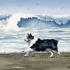 Australian Shepherd at the Beach Art Print by Artist DJ Rogers