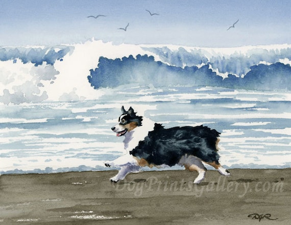 Australian Shepherd Art Print Sepia Watercolor 11 x 14 by Artist DJR