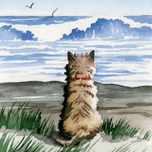 Cairn Terrier Art Print &quot;CAIRN TERRIER At The Beach&quot; Watercolor by Artist DJ Rogers
