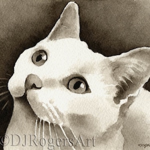 WEIßE CAT Sepia Kunstdruck von Aquarell Künstler DJ Rogers