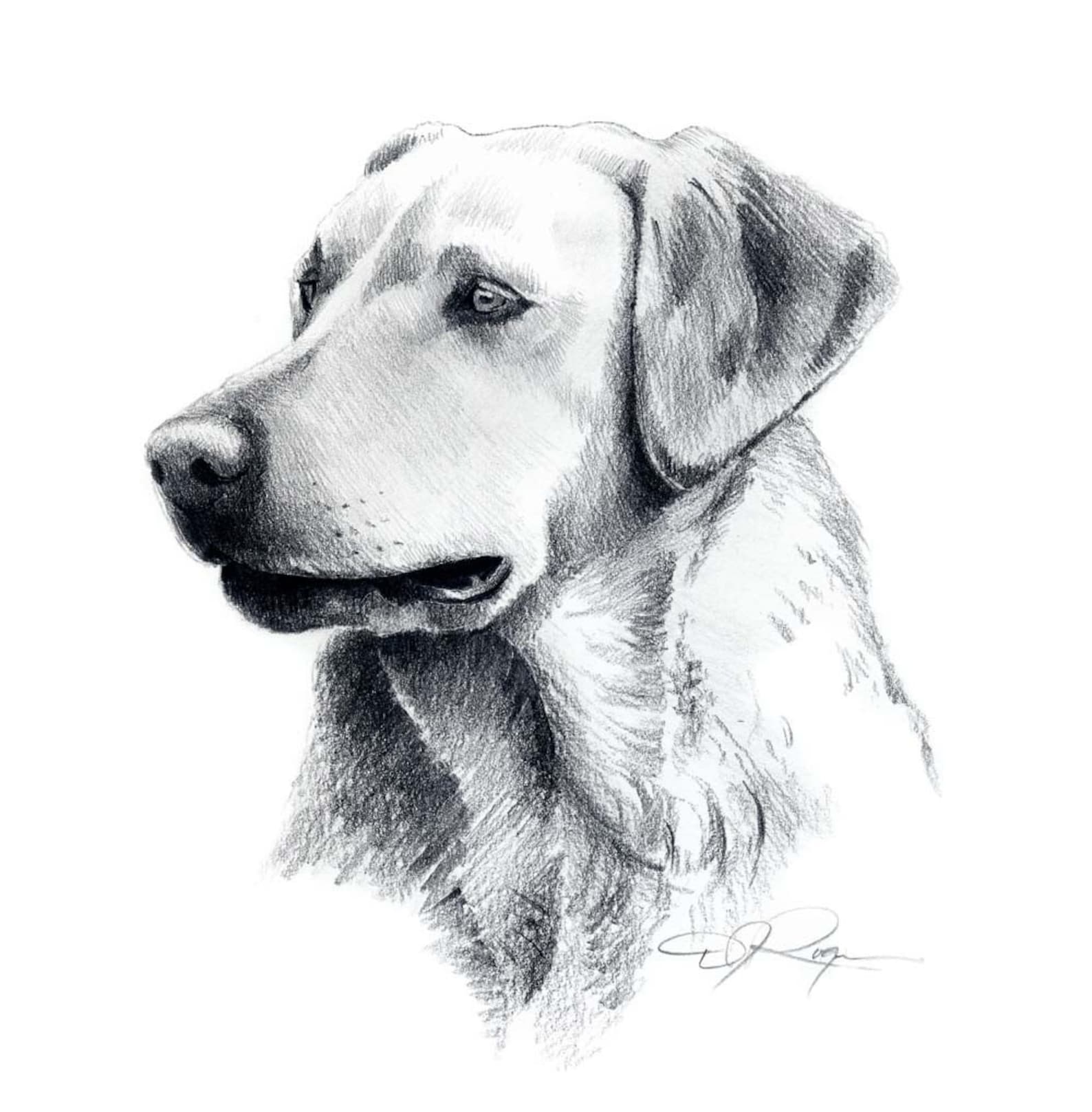 Нарисовать собаку карандашом легко и красиво. Собака рисунок. Собака карандашом. Собака рисунок карандашом. Красивые рисунки собак карандашом.