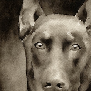 Red DOBERMAN PINSCHER Sepia Art Print por Acuarela Artista DJ Rogers