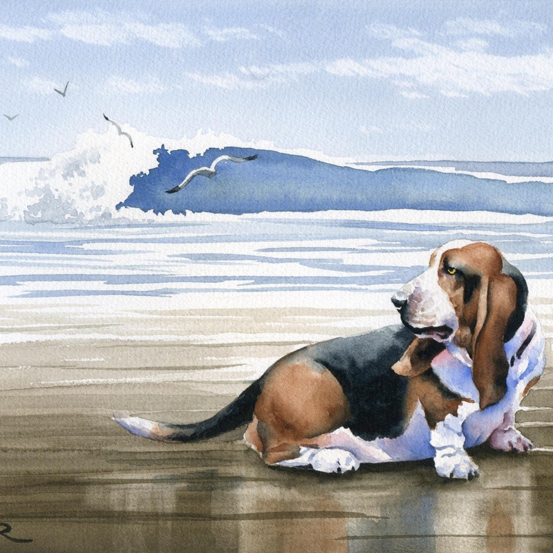 Basset Hound Art - Etsy