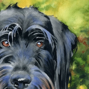 Black LABRADOODLE Art Print by Watercolor Artist DJ Rogers