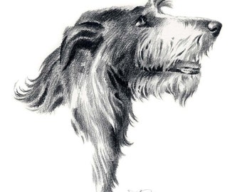 DEERHOUND Pencil Drawing Art Print by Artist DJ Rogers